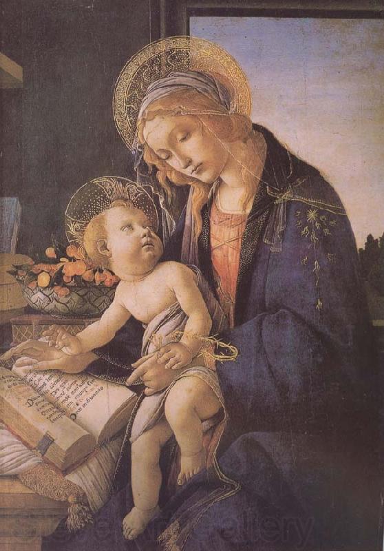 Sandro Botticelli Son of Our Lady of teaching reading France oil painting art